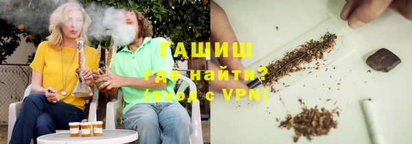 apvp Каменка
