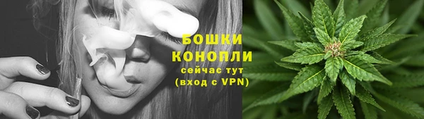 PSILOCYBIN Зеленодольск