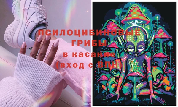 МДПВ Богданович
