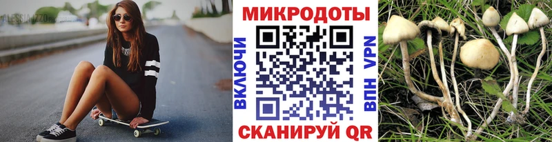 Псилоцибиновые грибы Magic Shrooms  Будённовск 